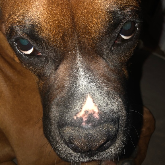 Meet your Posher, Jen - Picture 1 of 1